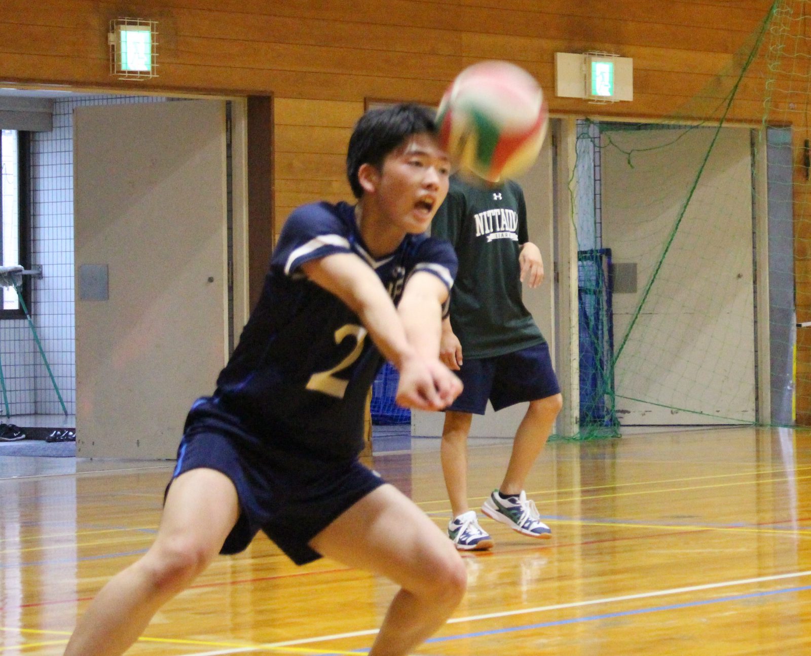 日本体育大学 女子 バレーボール部 ユニフォーム - その他スポーツ