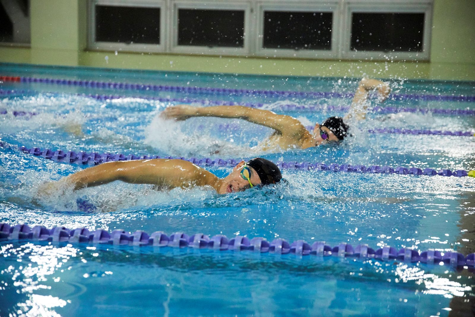 水泳部 日本体育大学荏原高等学校