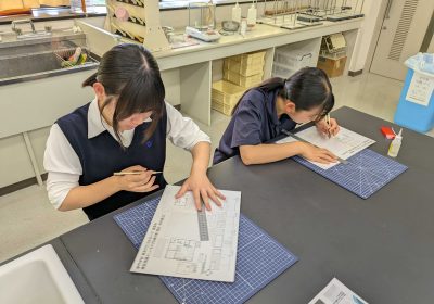 日体大荏原