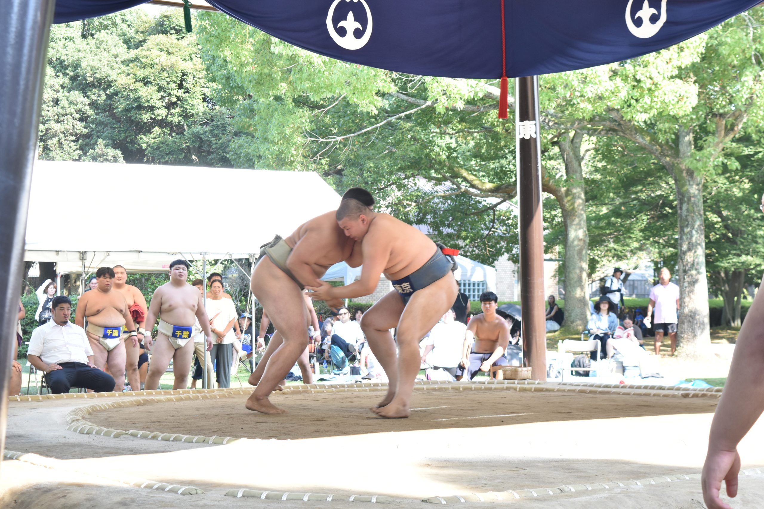 日体大荏原 相撲