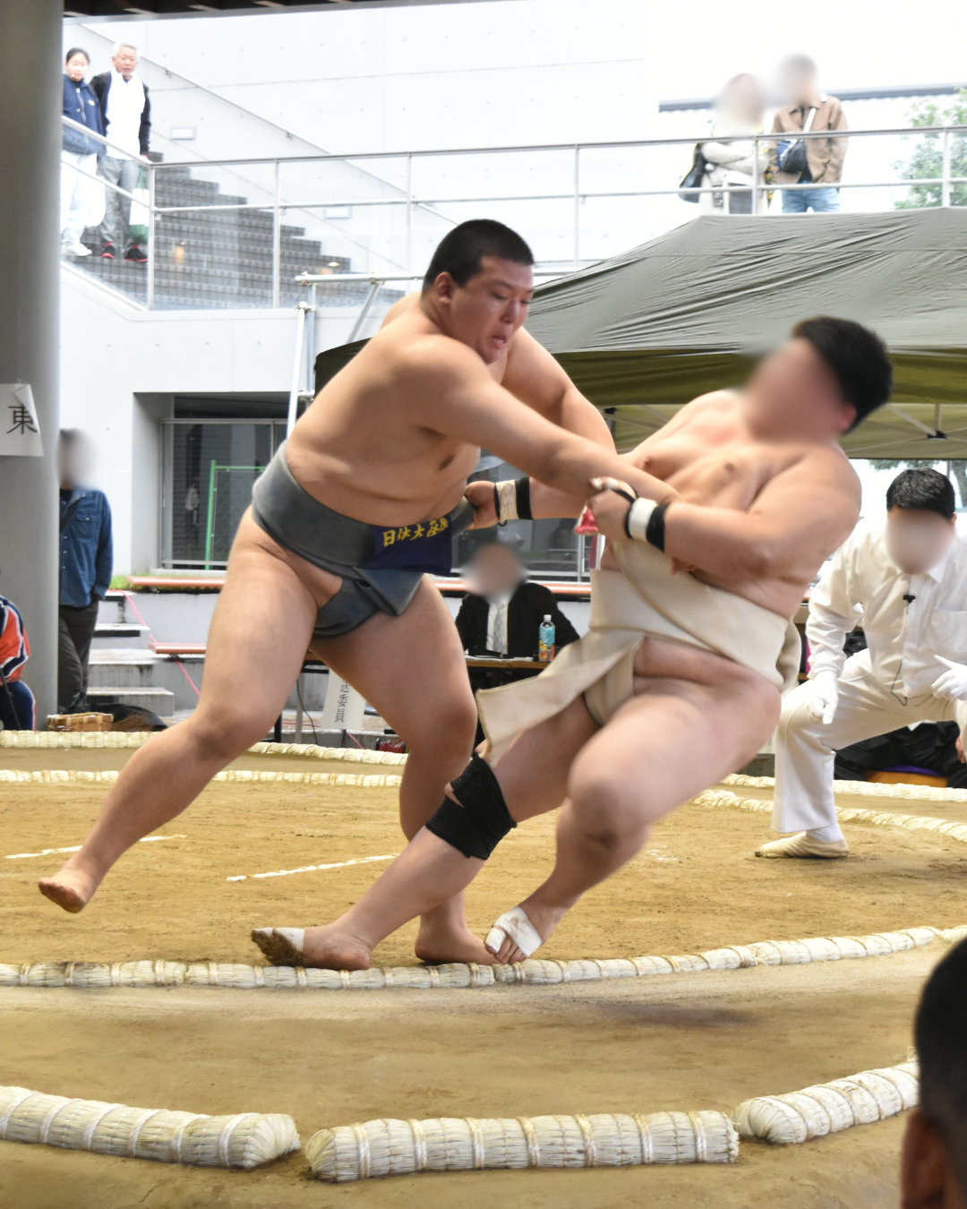 相撲部　関東選抜